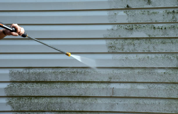 Best Mold Damage Repair  in Morgan Hill, PA